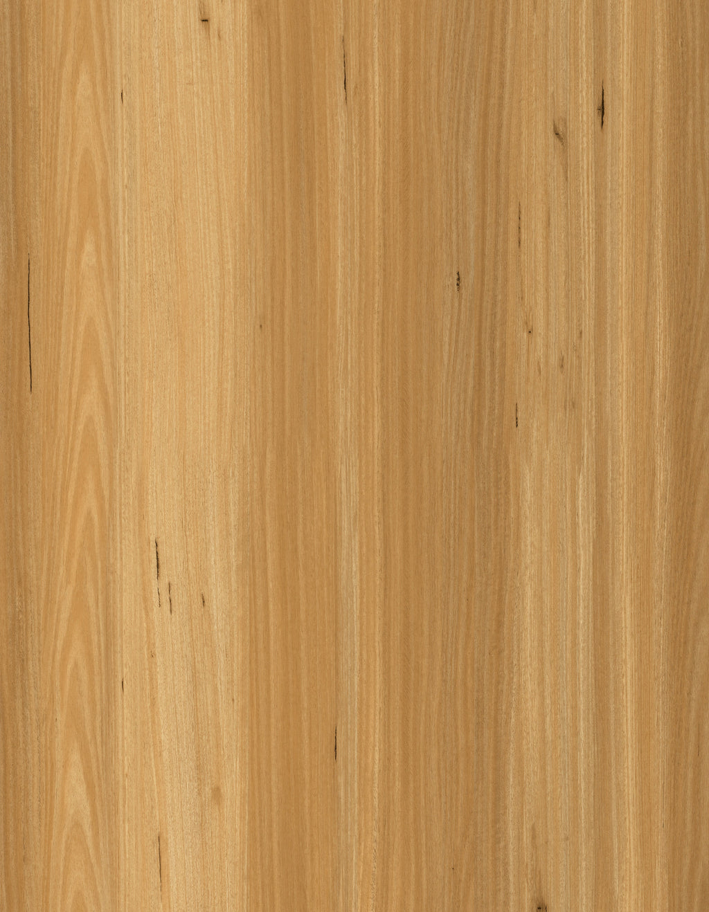 Blackbutt – 7.5mm SPC Hybrid Flooring (1.4m² per Box)