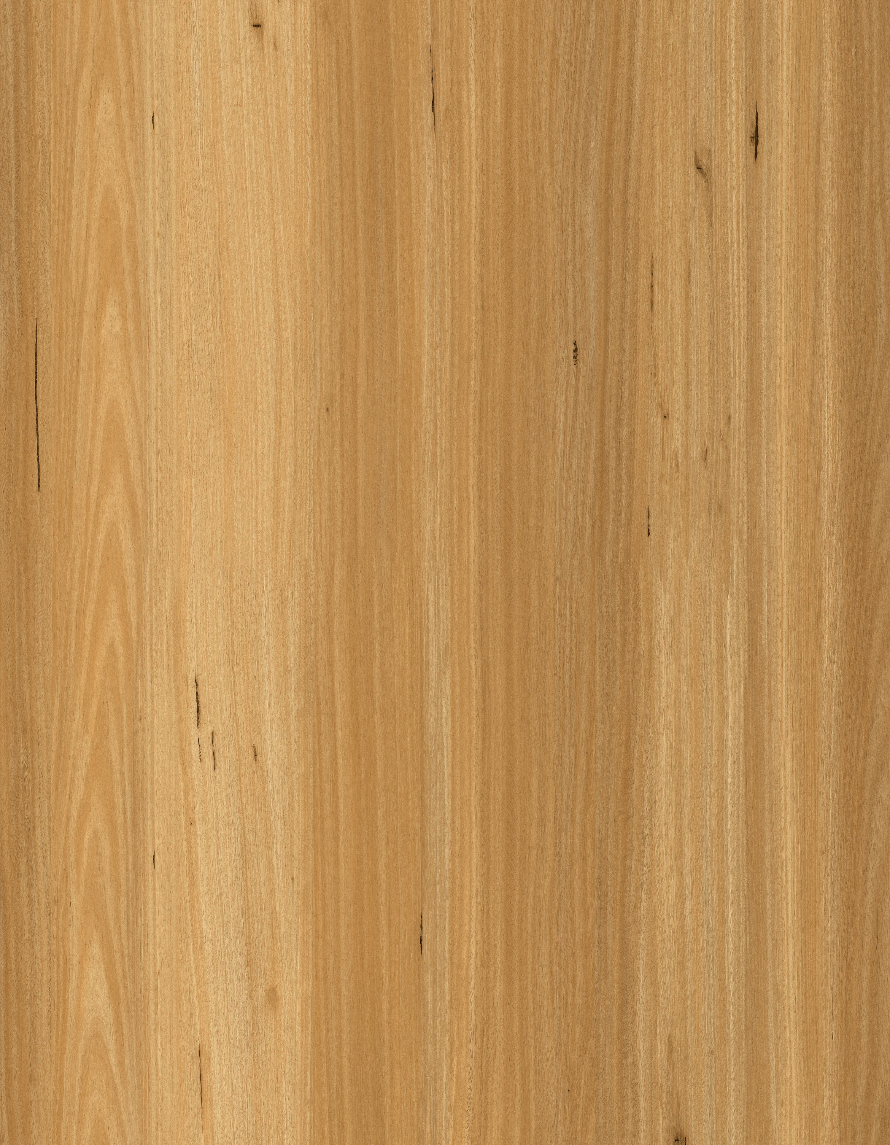 Blackbutt – 7.5mm SPC Hybrid Flooring (1.4m² per Box)